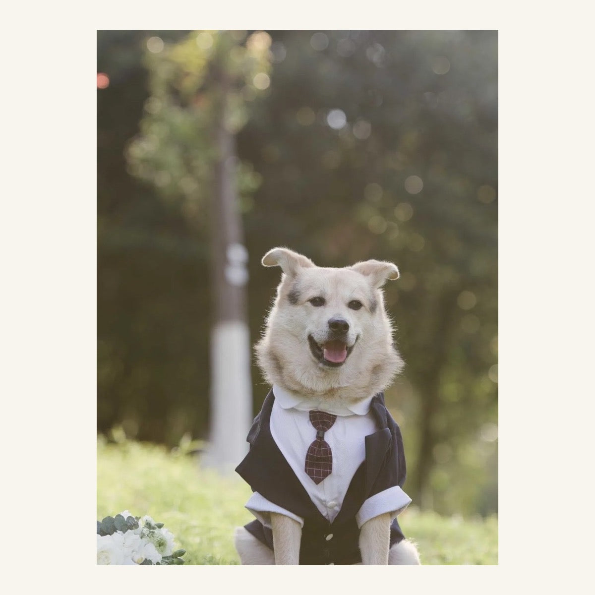 The Winston Tailored Pet Tuxedo