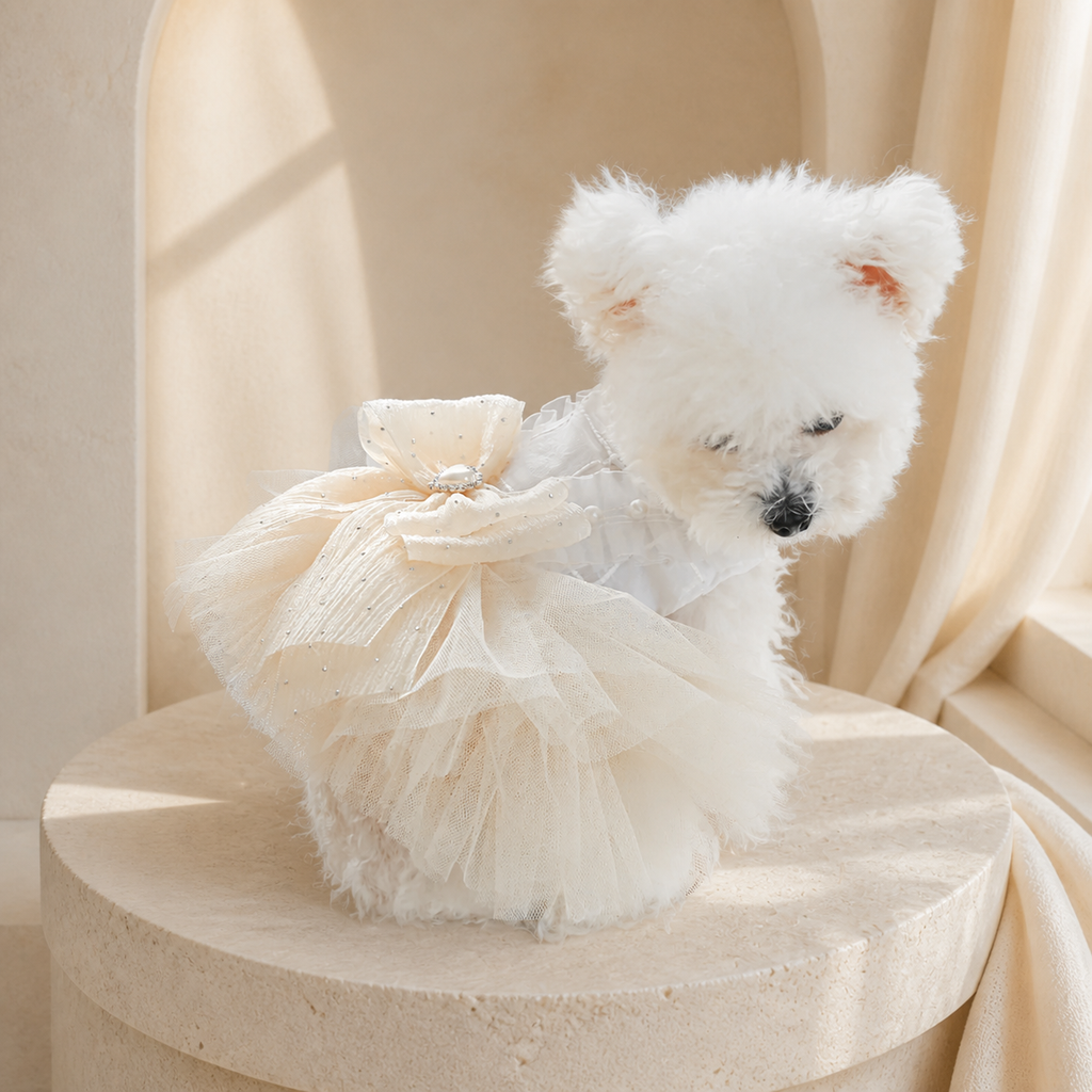 The Amélie Champagne Bow Dress