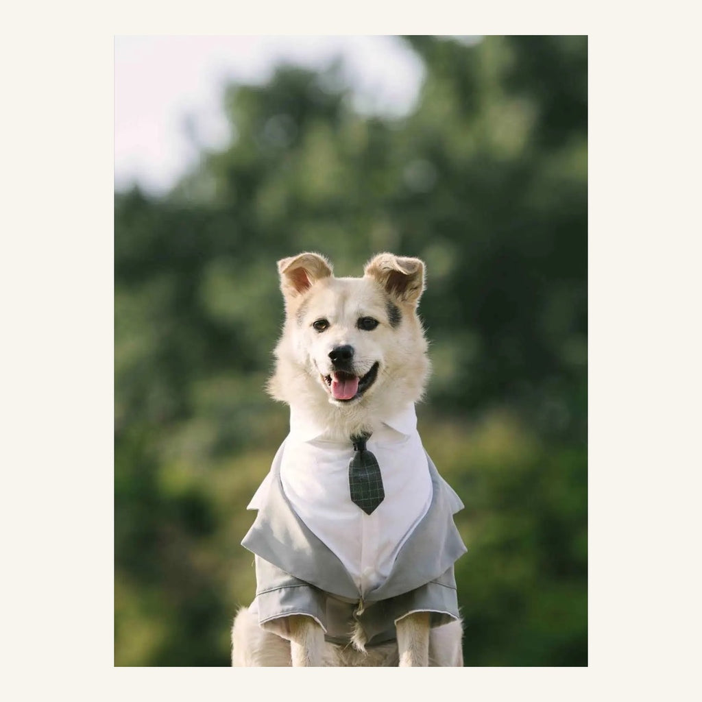 The Winston Tailored Pet Tuxedo
