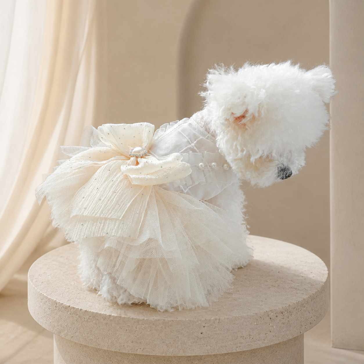 The Amélie Champagne Bow Dress