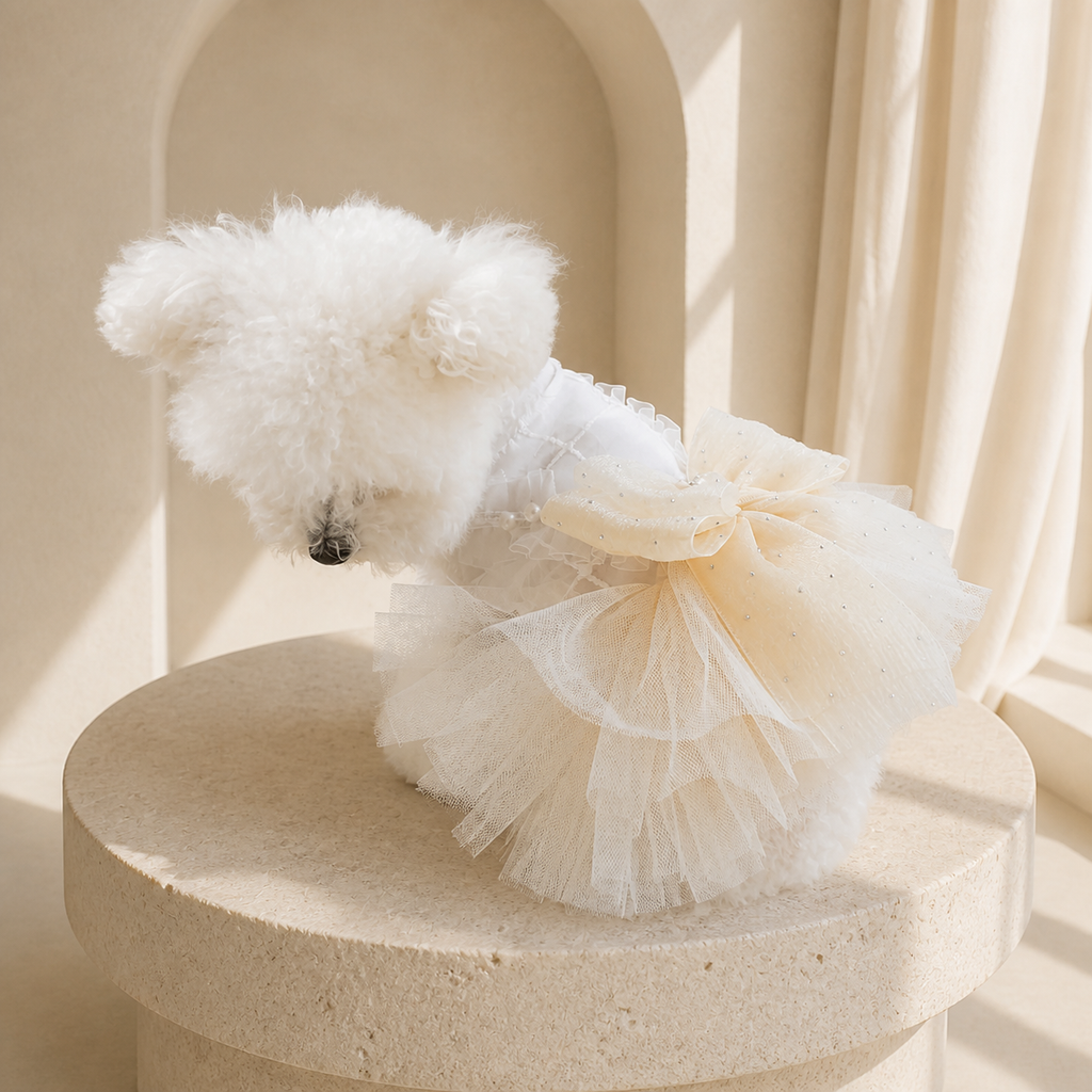 The Amélie Champagne Bow Dress