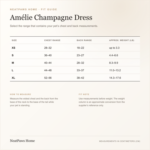 The Amélie Champagne Bow Dress