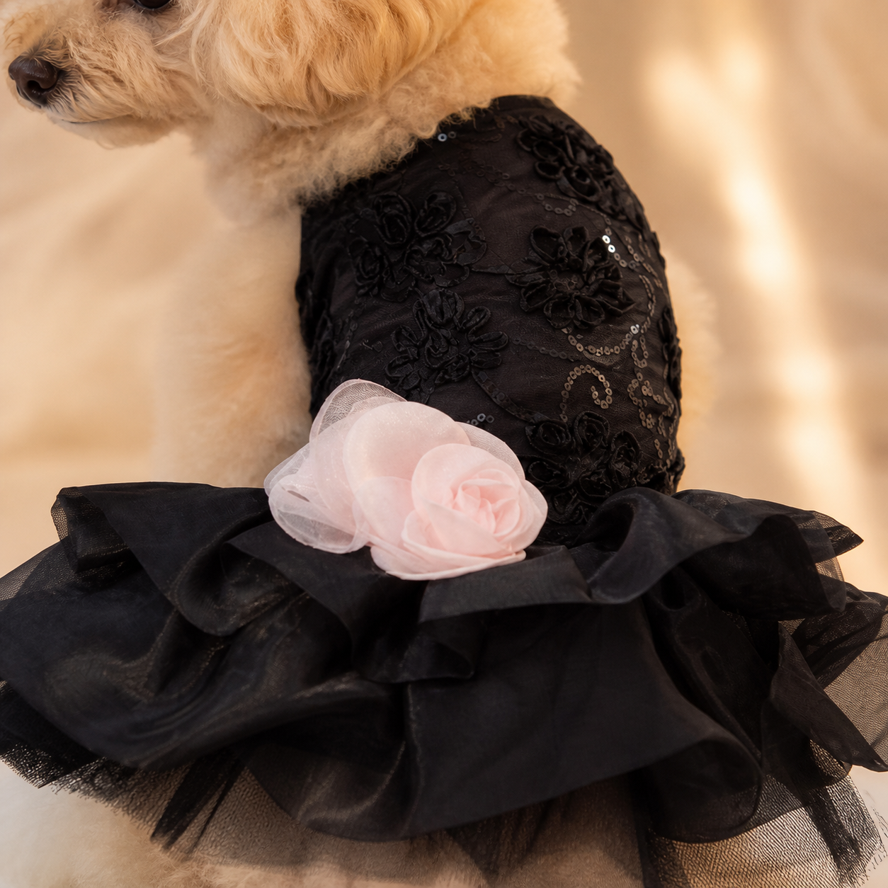 The Noir Rosette Evening Dress