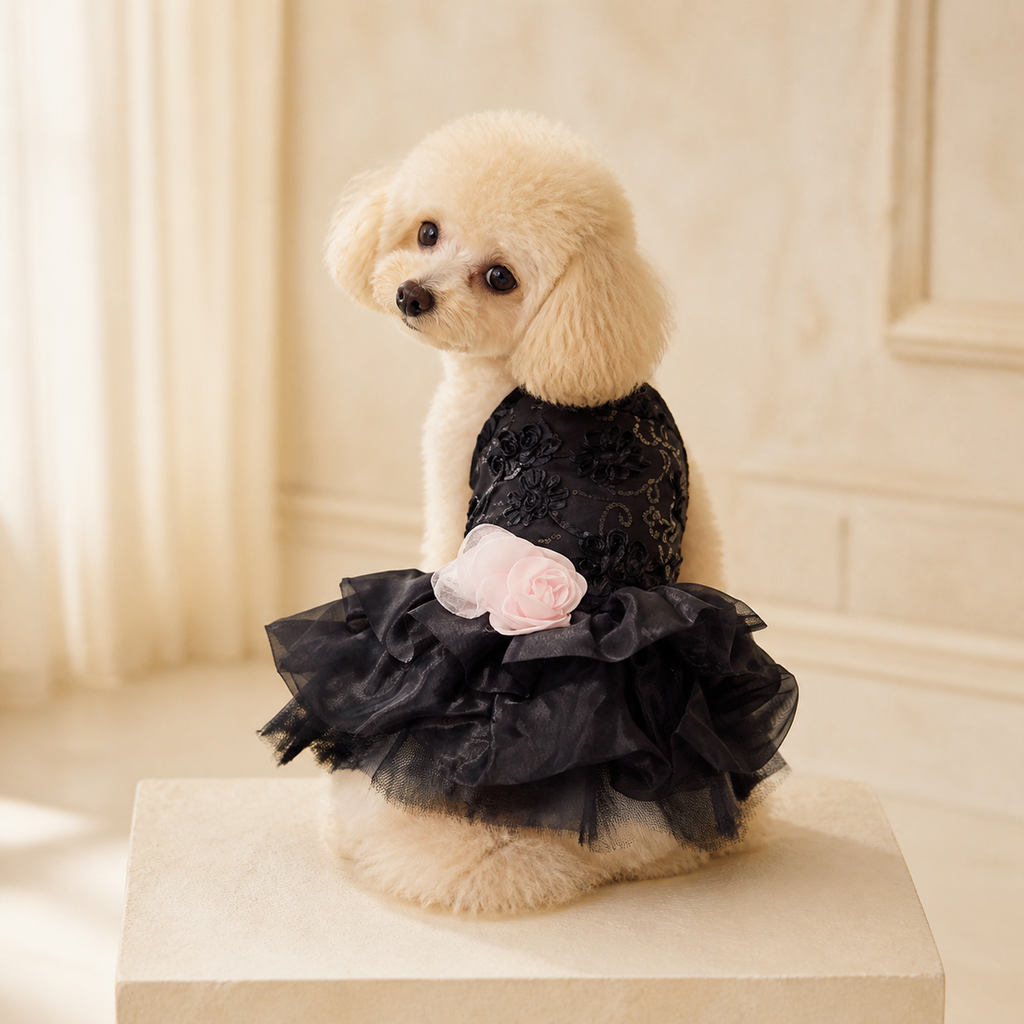 The Noir Rosette Evening Dress