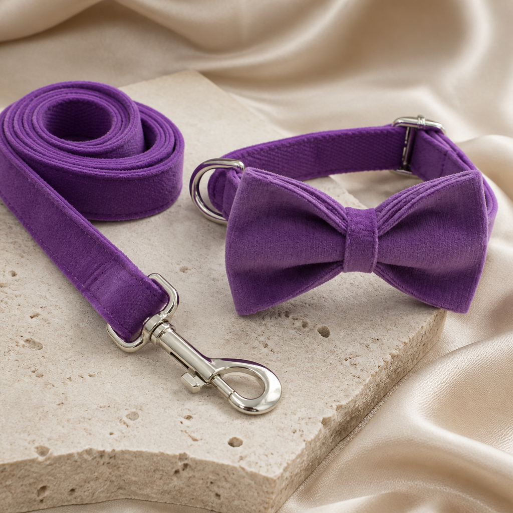 The Violette Velvet Bow Collar & Leash Set